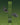 Combo - Condor Ti2 Vert Trèfle + Tyrolia - PRW 11 GW